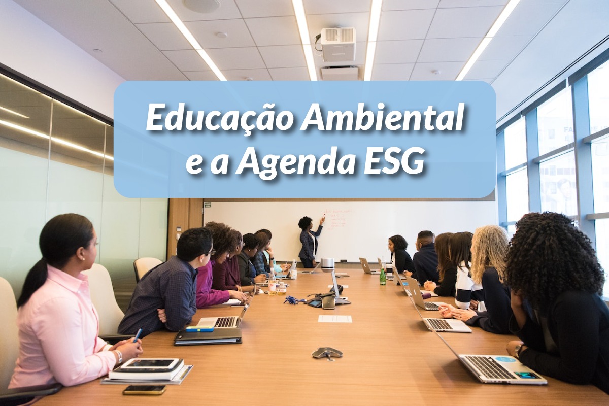 Pessoas em uma sala de treinamentos aprendendo sobre Educação Ambiental e Agenda ESG